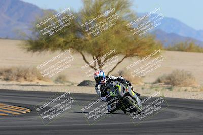 media/Feb-04-2023-SoCal Trackdays (Sat) [[8a776bf2c3]]/Turn 4 (Tree of Life 2pm)/